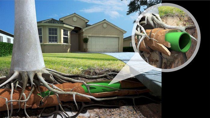 Técnica relining Técnica Relining