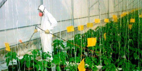 ¿puede el plástico convertirse en una barrera para la propagación de plagas? 5 Fumigacion-Cultivo