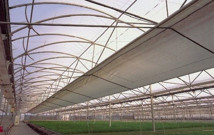 Agricola1 1