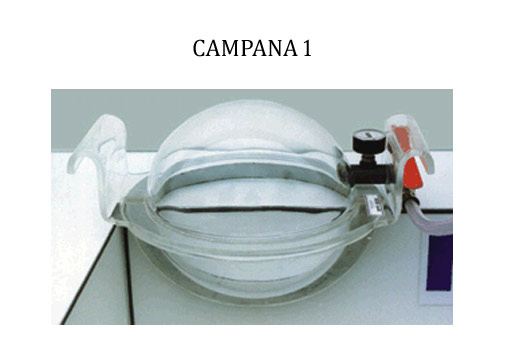 Campana1