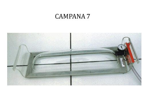 Campana7